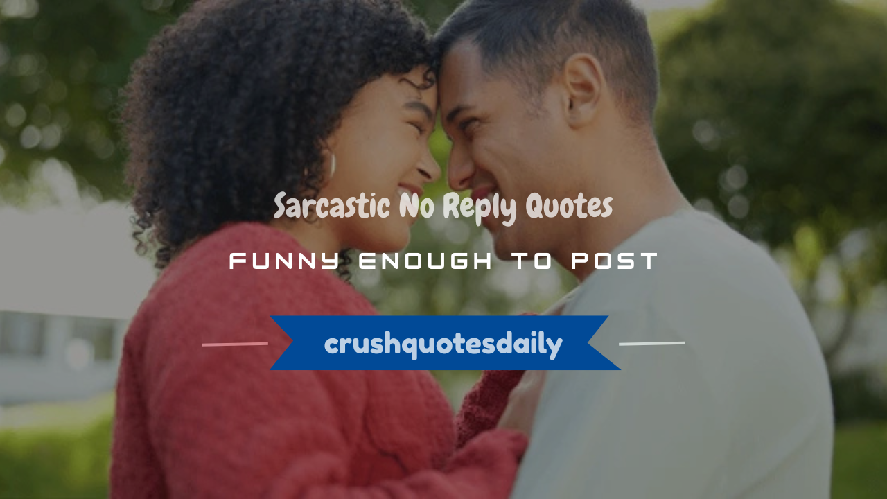 sarcastic no reply quotes funny