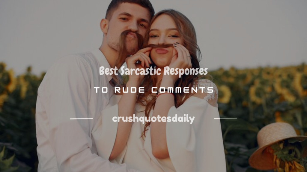 sarcastic response to a rude comment